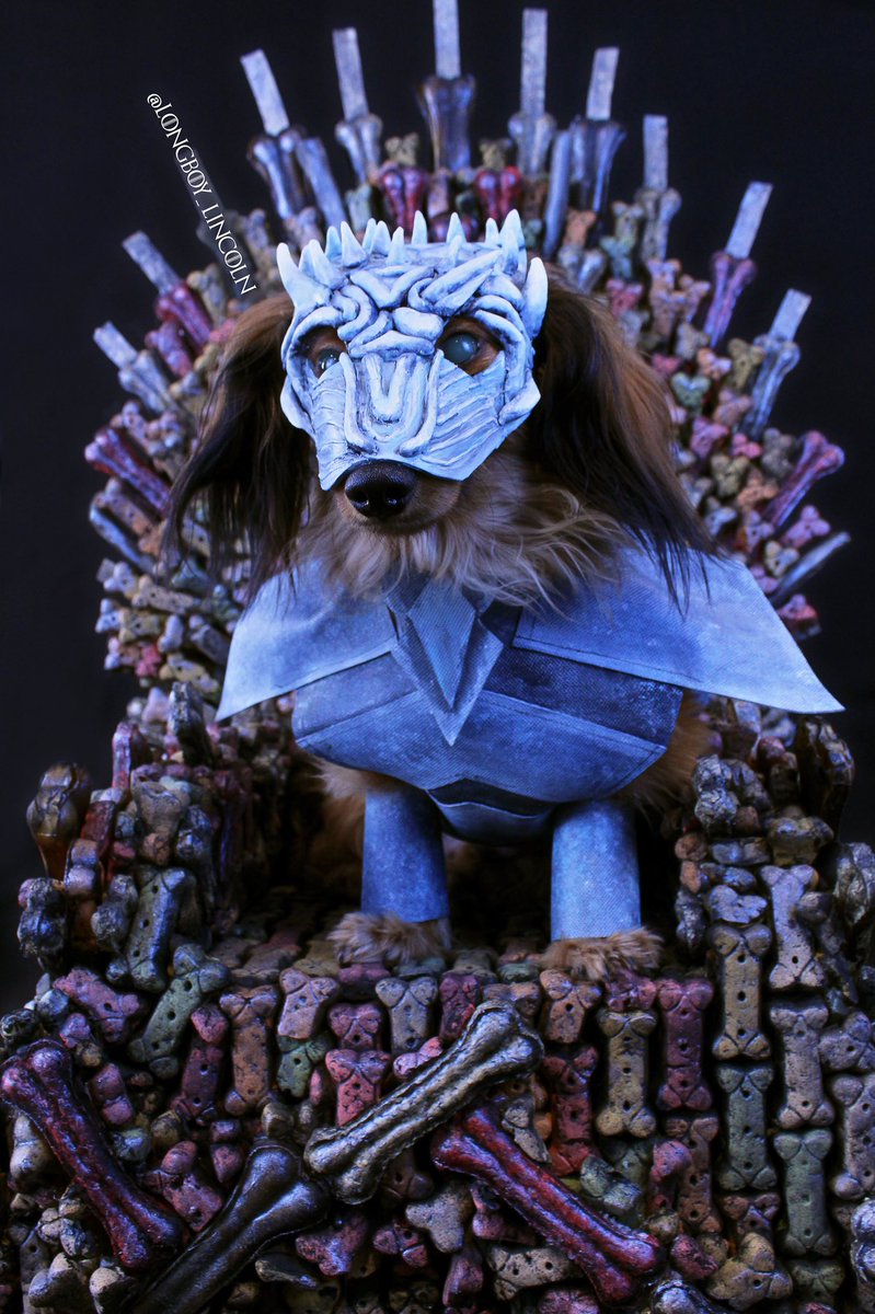 longboy_lincoln's tweet photo. The Night is Dark and Full of Barks @GameOfThrones @BuzzFeed @Maisie_Williams #GameOfThornes #BattleofWinterfel #GOTS8E3 #BattleForWinterfell #NightKingSlayer #NightKing #TheNightKing https://t.co/yFetacsOst