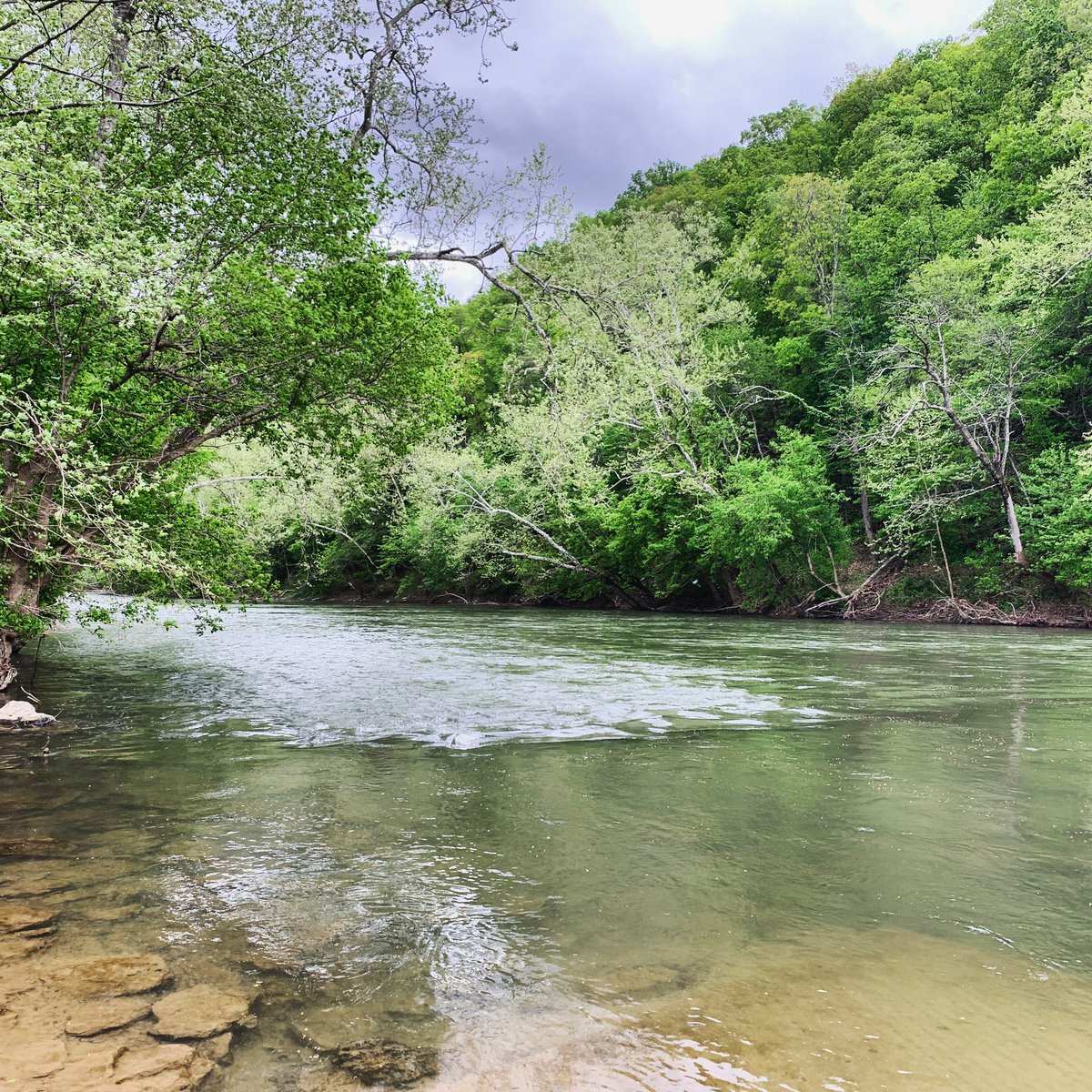 IAmFeatherLight's tweet photo. Be still, my heart ❤️ I wish I had smell-o-vision for this one. It smells so fresh and fragrant with everything blooming 🥰
-
#nature #mothernature #landscape #mountains #river #naturephotography #cloudyday #forest #naturelover #naturelovers #earth #natgeo #hiking #hike #outdoors https://t.co/csJ4ARtFhb