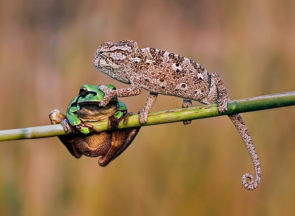 In six words or fewer, write a story about this photo.
#sixwordstory #amwriting