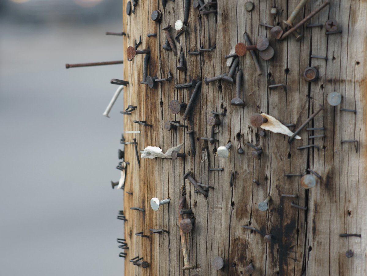 Kissimmee Utility On Twitter It May Seem Innocent Enough But