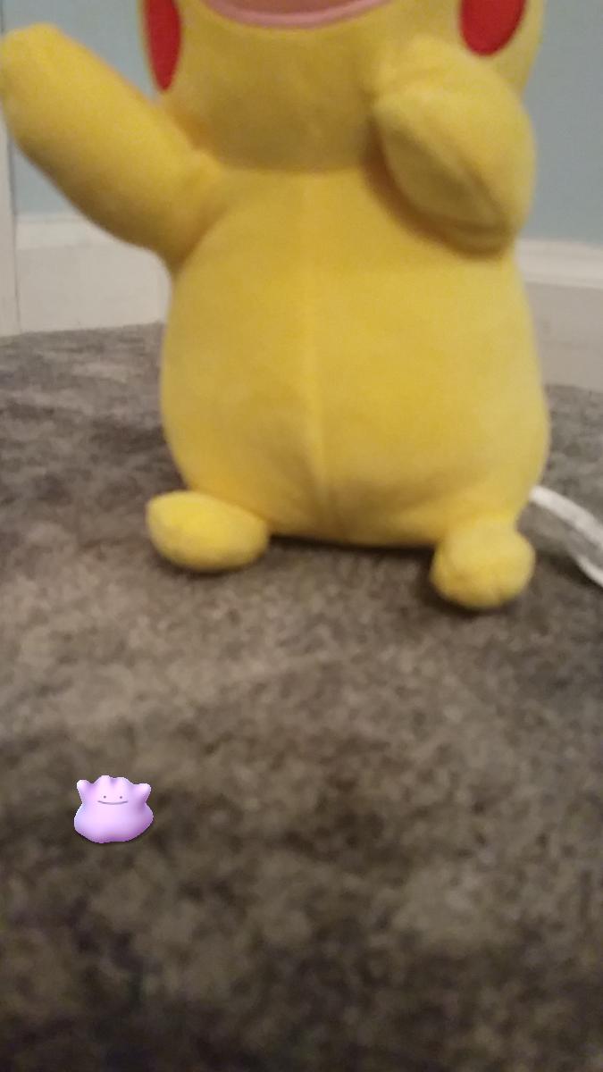 dittoaspikachu's tweet photo. Look how big I grew friends! My Trainer is proud of me! #dittolife https://t.co/B8yOsRwzpo