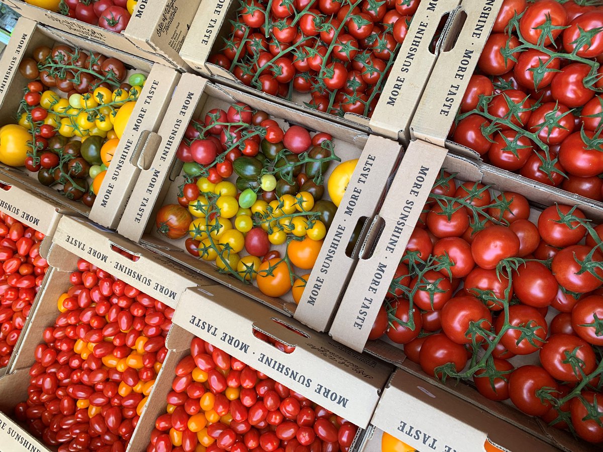 SmithandBrock's tweet photo. Very pleased to be working with the guys @iowtomatoes this coming summer. An absolute pleasure to have these in the building. Please get in touch for pricing and availability #IOWtoms #ukproduce #uktomatoes #eattheseasons #expertlyselected #proudlydelivered #smithandbrock https://t.co/7G10Q1OalO