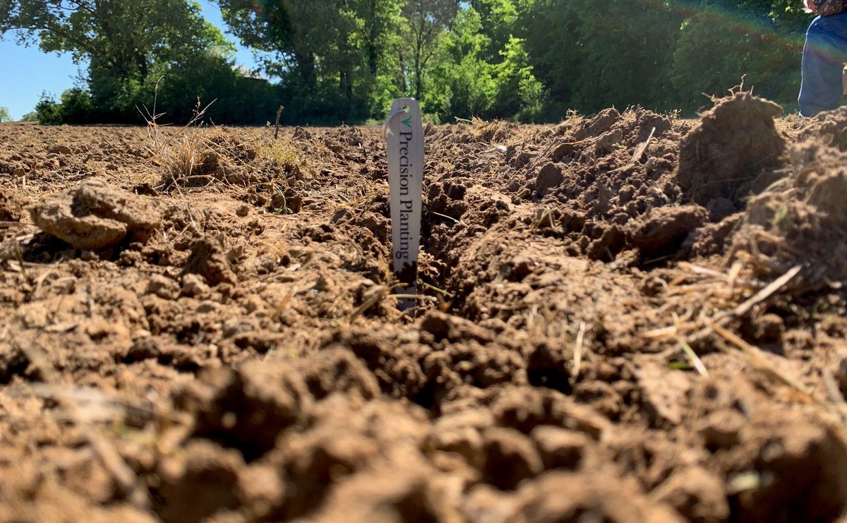 Check your seed depth early and often! If planting conditions change, take the time to check depth on every row. We have <a href="/PlantingSupport/">Precision Planting Support</a> Precision Planting Seed Depth Tools, if you don't have one, let us know and we will get one to you.