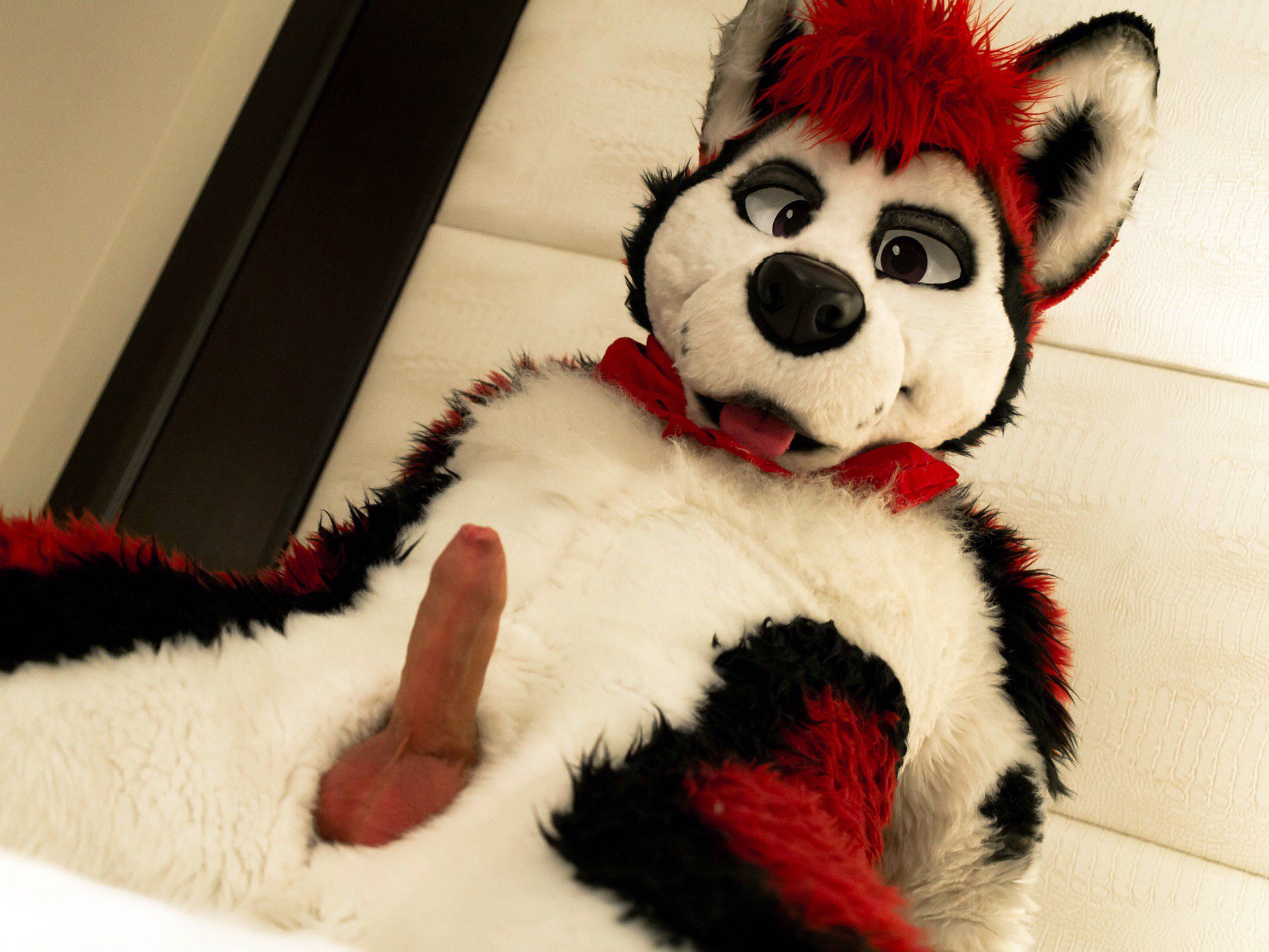 Cenny After Bark on X: Hey you filthy fucks <3 welcome to my channel. 18+  only. Find me also on JFF: t.co0c1wQIqfMw Pornhub;  t.co57PgmV9SVx Murrtube: t.cowSjsokzVrh Xtube:  t.coPezjb1xw9P Telegram: t.co ...