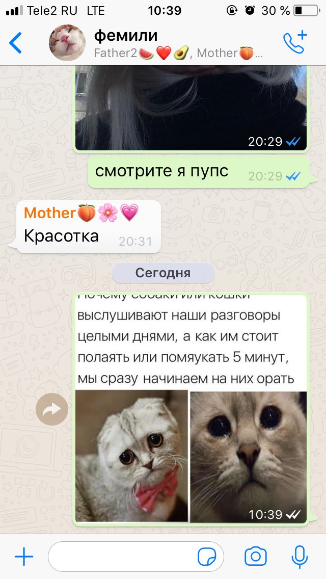 рубрика шлем мемасы в родительскую конфу