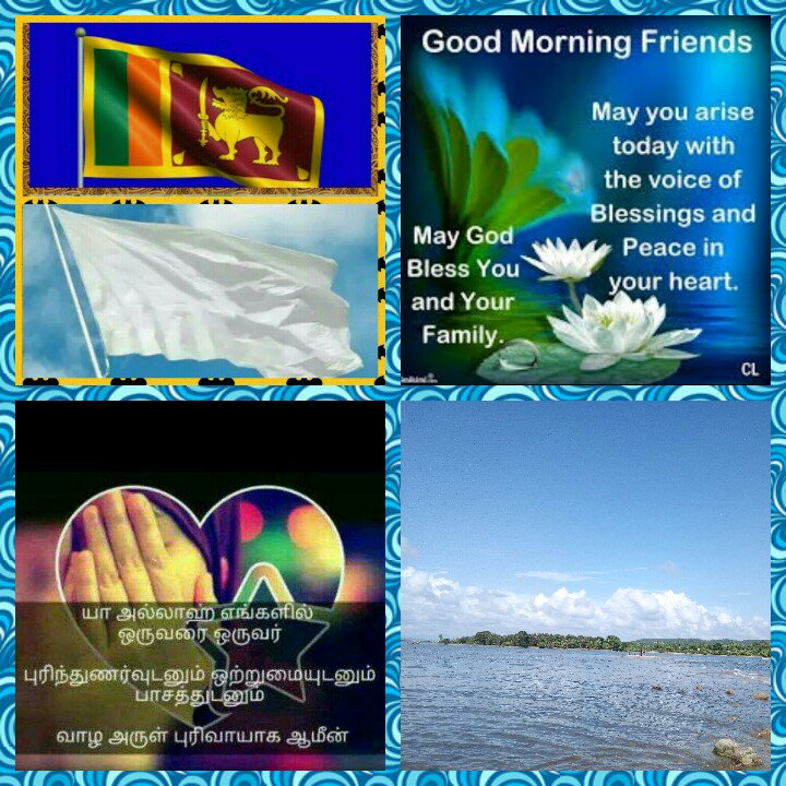 KandyTrue's tweet image. 