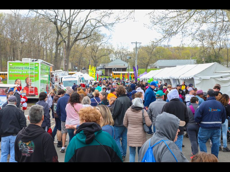 Photos The 2019 Meriden Daffodil Festival at Hubbard Park Hartford