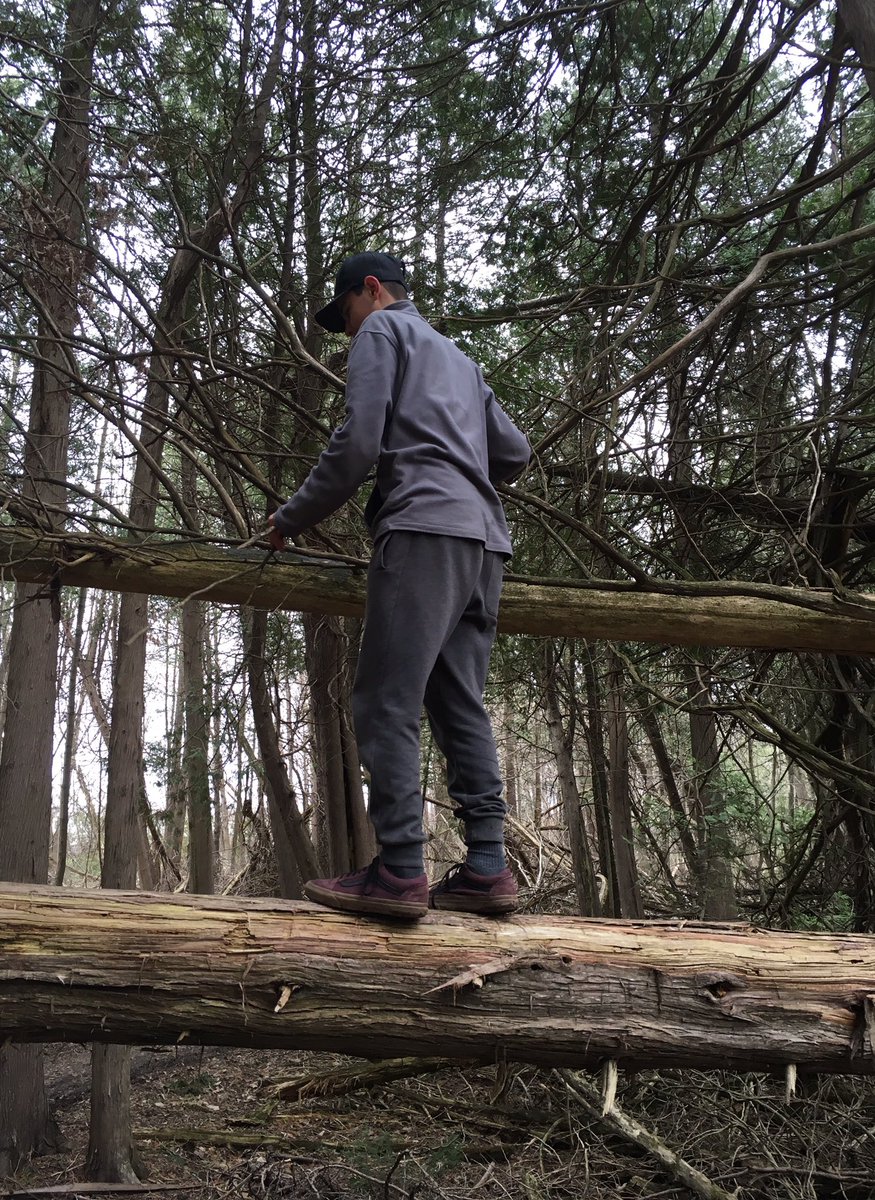 HDSBaccess's tweet image. ACCESS #Mustcats returned to #OutdoorEd &amp;amp; explored local swamplands, then tried a blindfolded leadership challenge. @HDSB_OEE #PuddleJumping