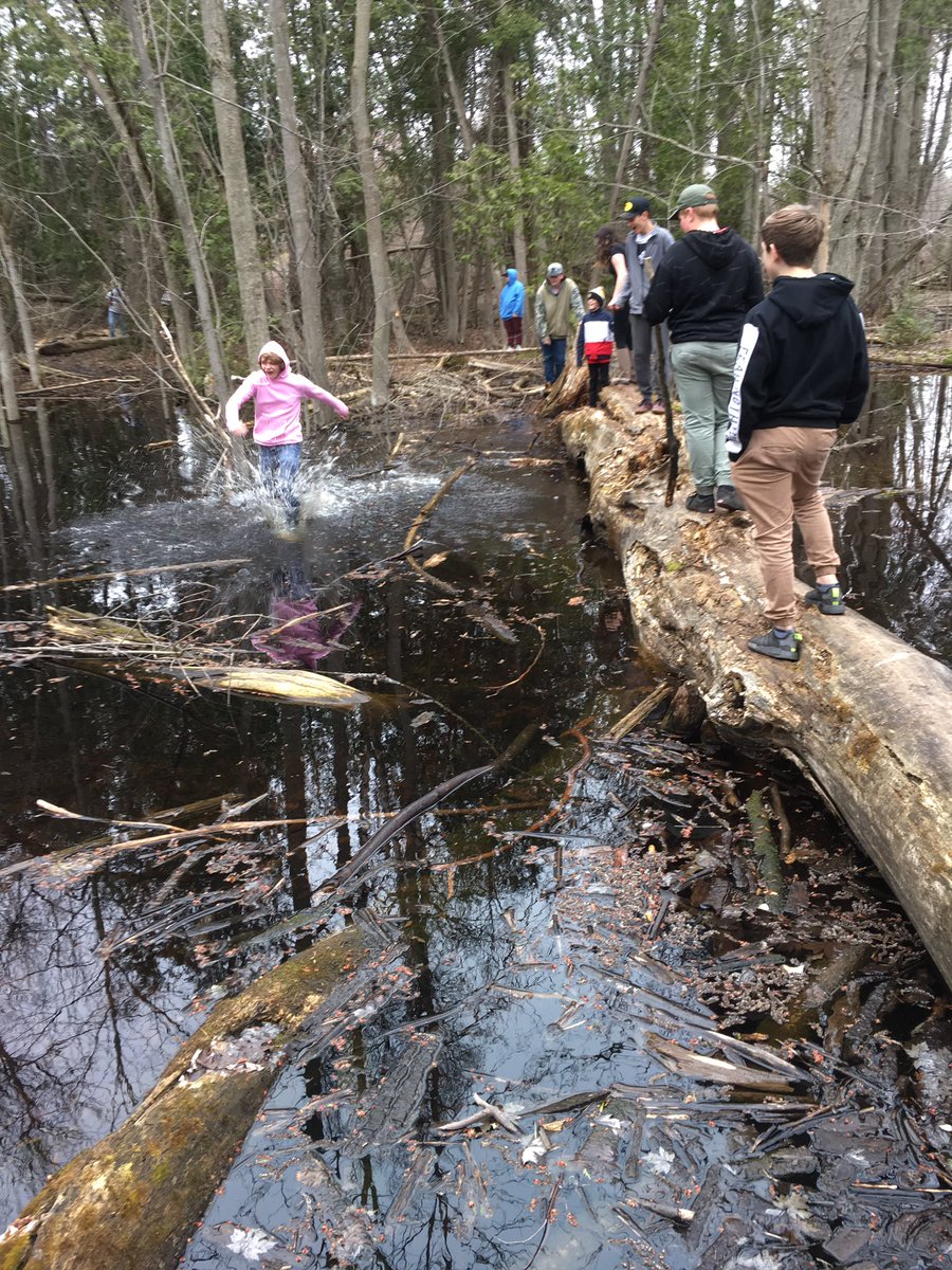 HDSBaccess's tweet image. ACCESS #Mustcats returned to #OutdoorEd &amp;amp; explored local swamplands, then tried a blindfolded leadership challenge. @HDSB_OEE #PuddleJumping