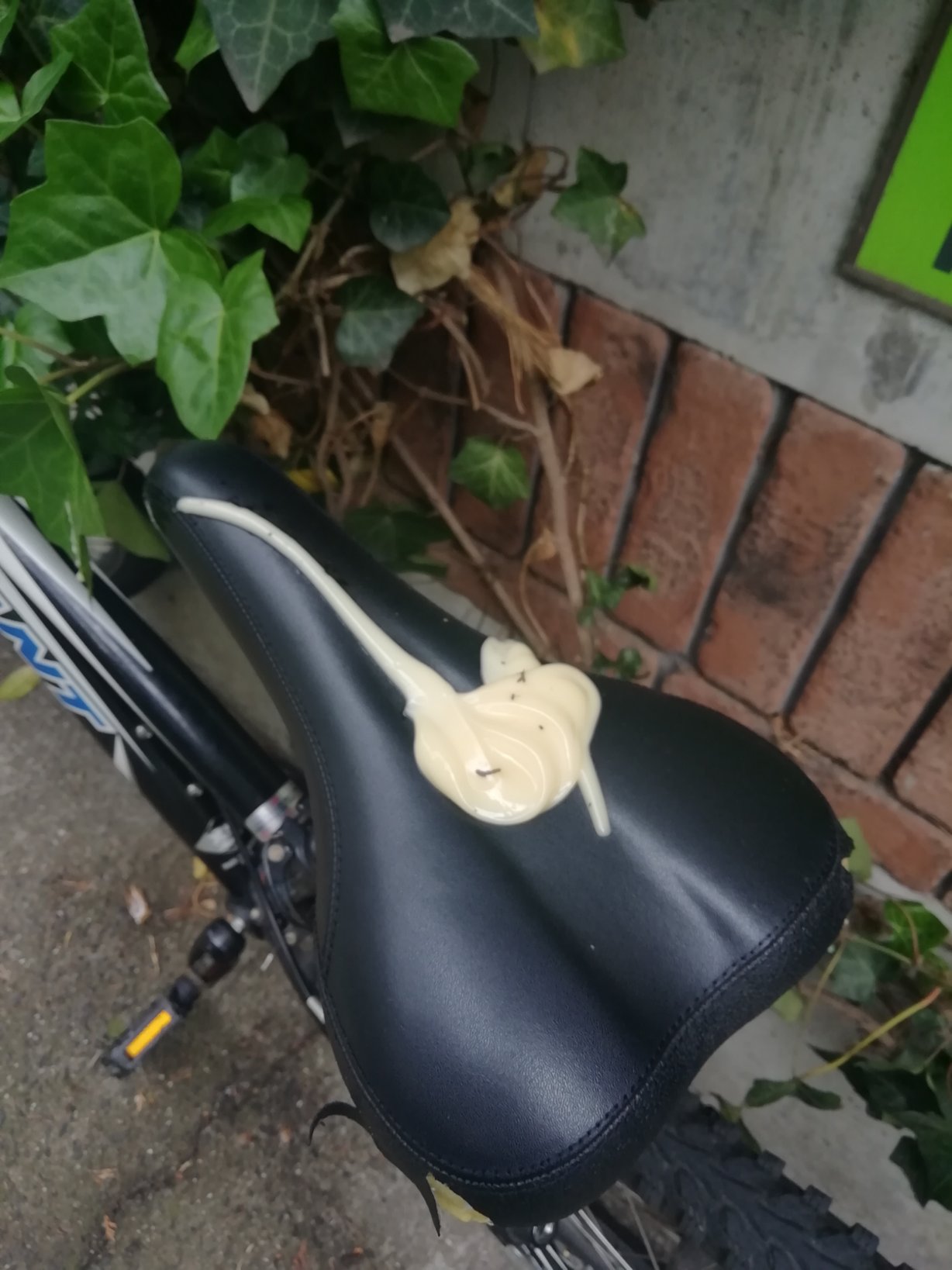 サドル　エロ画像 