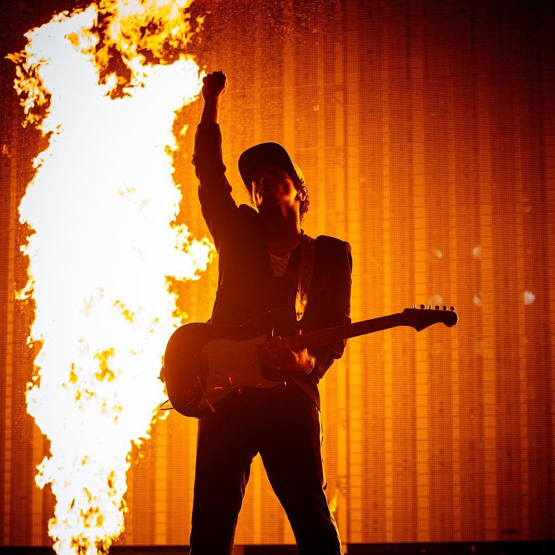 Bruno's Orchid🌹🇦🇺🐬 tweet media