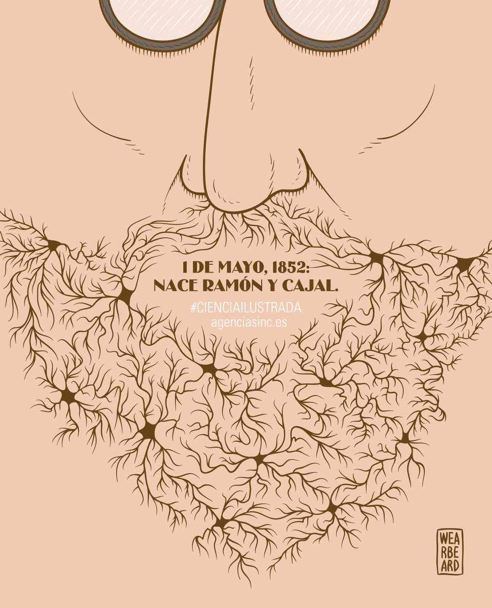 Un 1 de mayo como hoy, pero de 1852, nació en Petilla de Aragón el médico Santiago Ramón y Cajal, premio Nobel por sus trabajos sobre el sistema nervioso agenciasinc.es/Multimedia/Ilu…