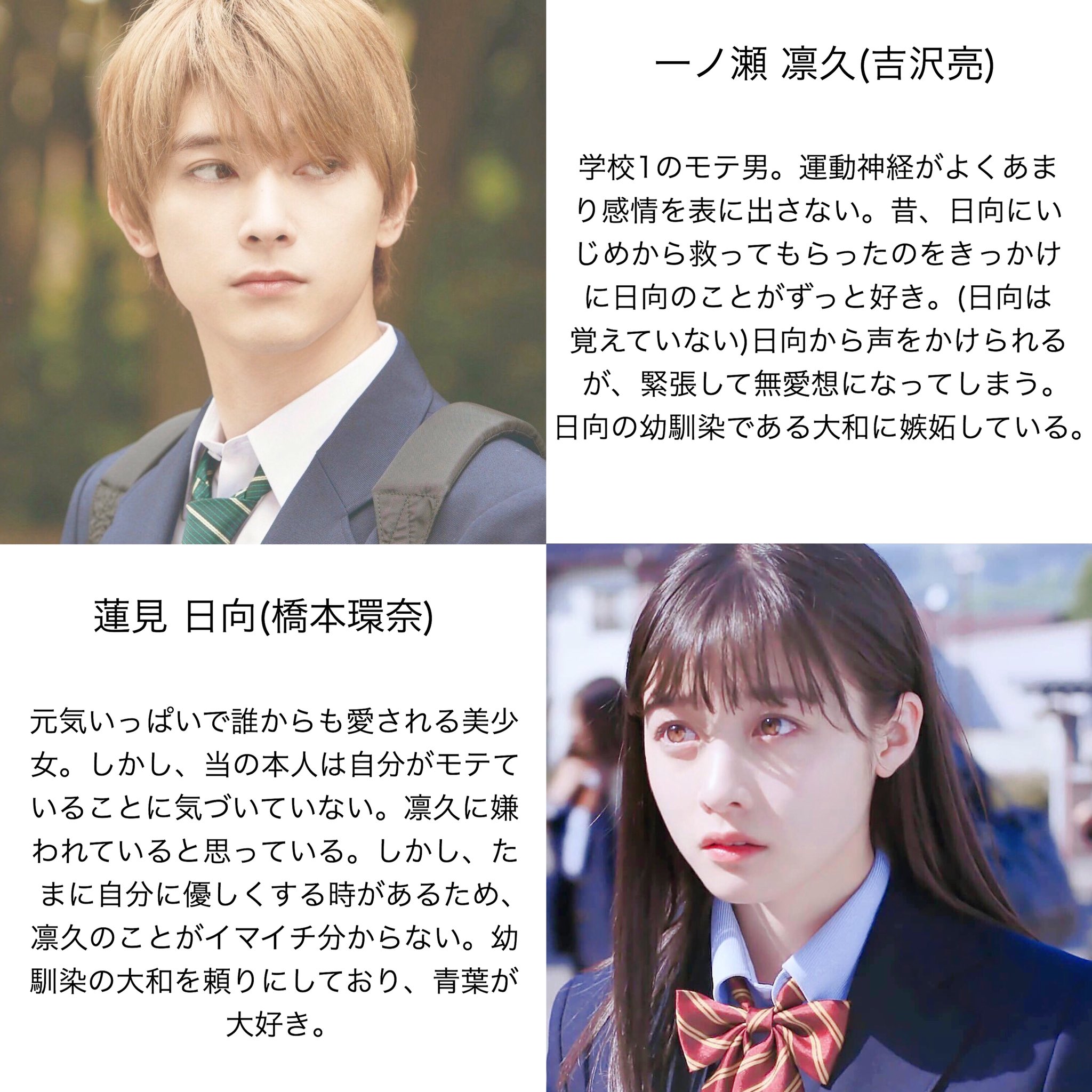奈 橋本 映画 環
