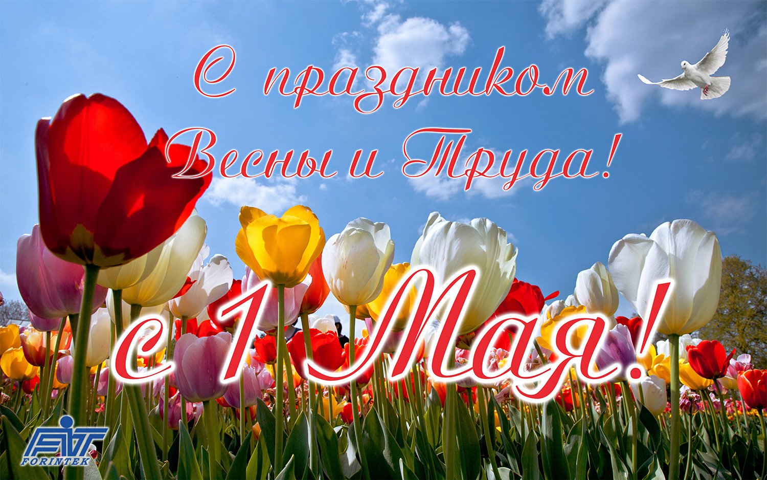 что первый май праздник поздравление скамейками бревен