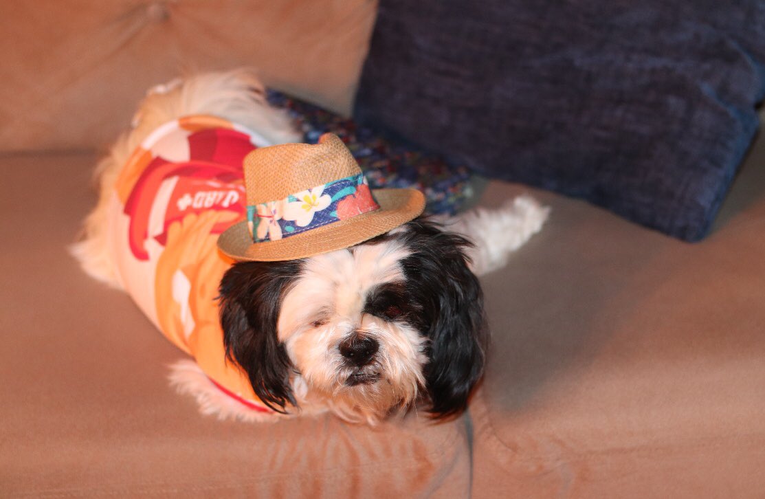 Ann Marie Ruby | Author tweet media