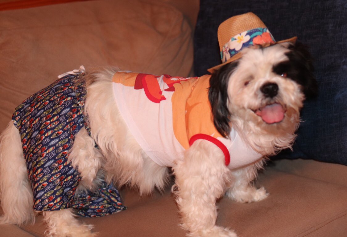 Ann Marie Ruby | Author tweet media