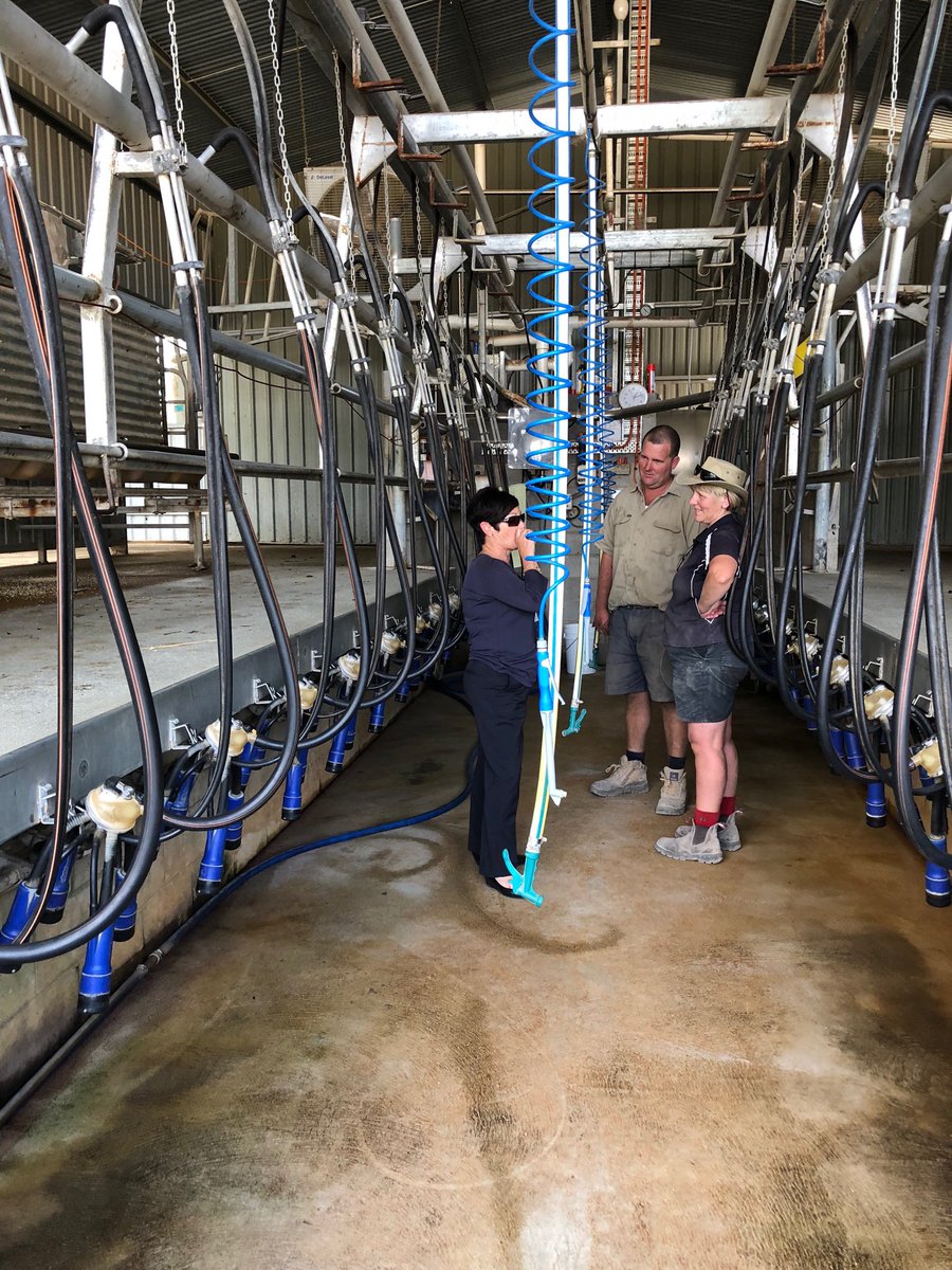 ANZ Business Banking Manager Carla Bau on farm visit to Loxby Brown Swiss @ Laceby