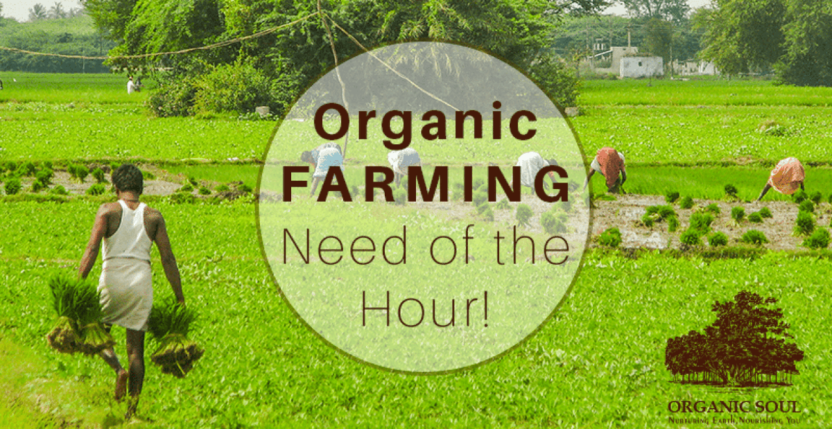 CropexL's tweet photo. https://t.co/lb5IloKfbE