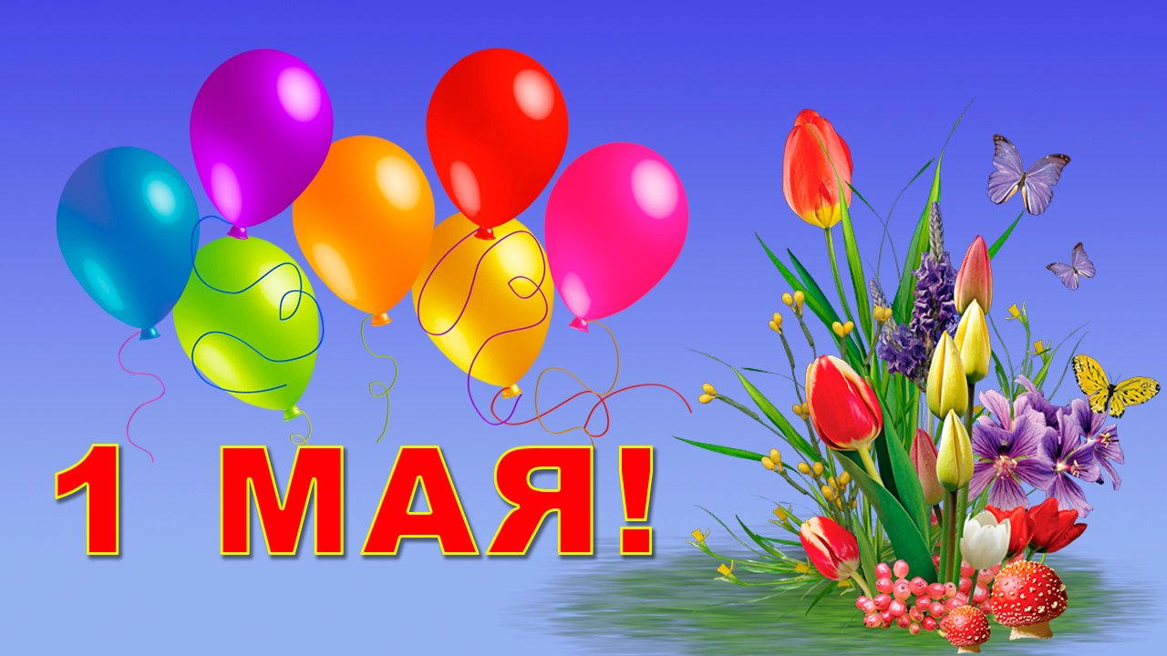 Шаблоны с 1 мая, парню днем