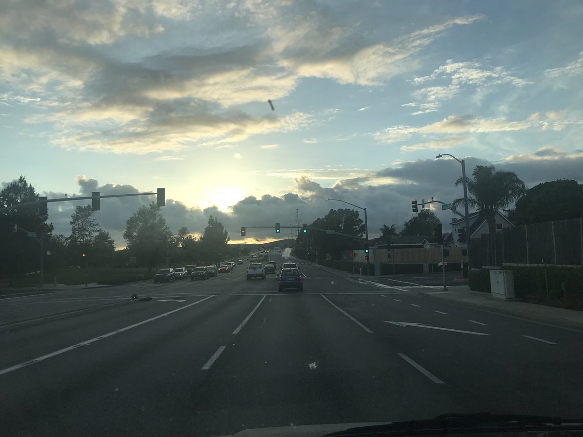 FoxTreeYoga's tweet image. Today was so beautiful in between the rain spells. 💗✨🕉🙌🌟🙏🏼💗