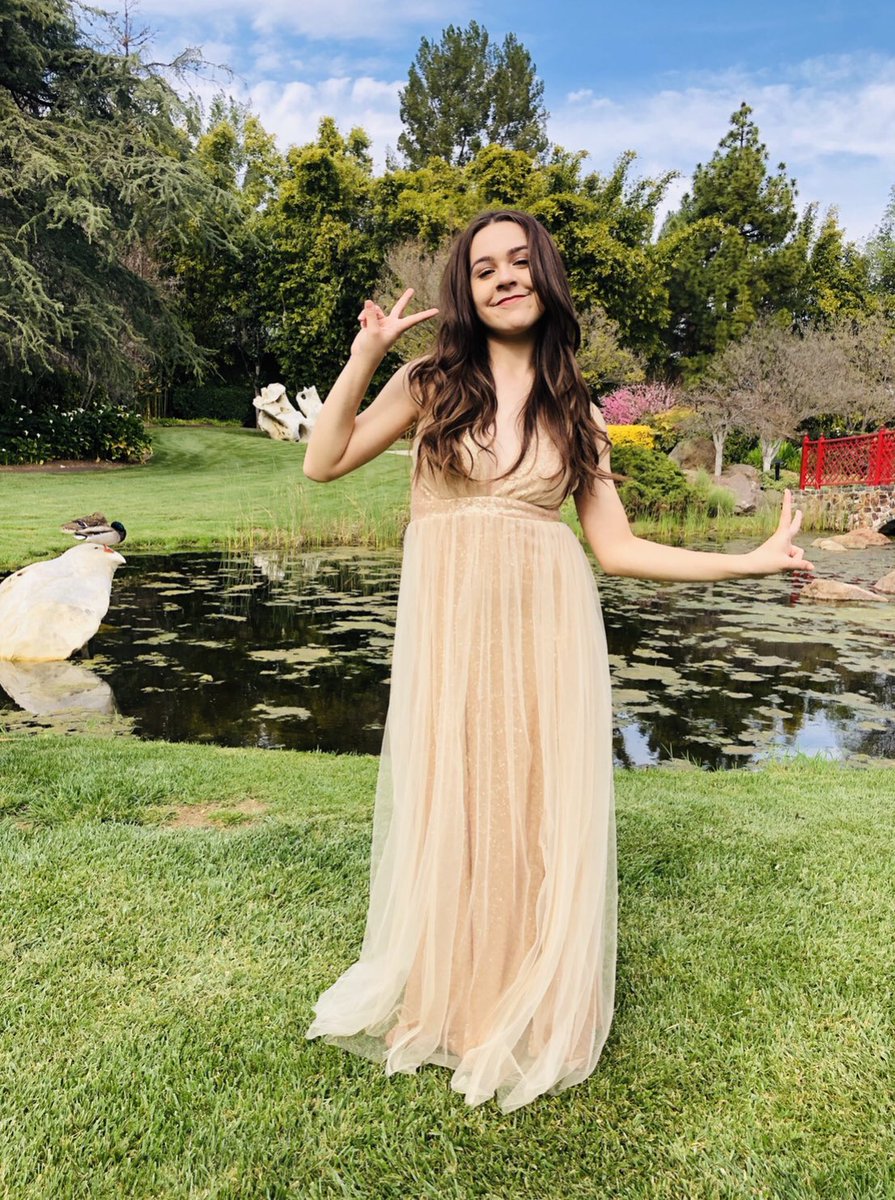 MissAvaBianchi's tweet photo. The BEST #promdresses are at https://t.co/EE9liHL5G8 #promgirlxo #pgonme #pgqueen #promseason 💕 https://t.co/7b8HmOlp0w