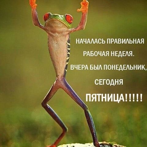 открытки только что был понедельник уже пятница этого научного учреждения