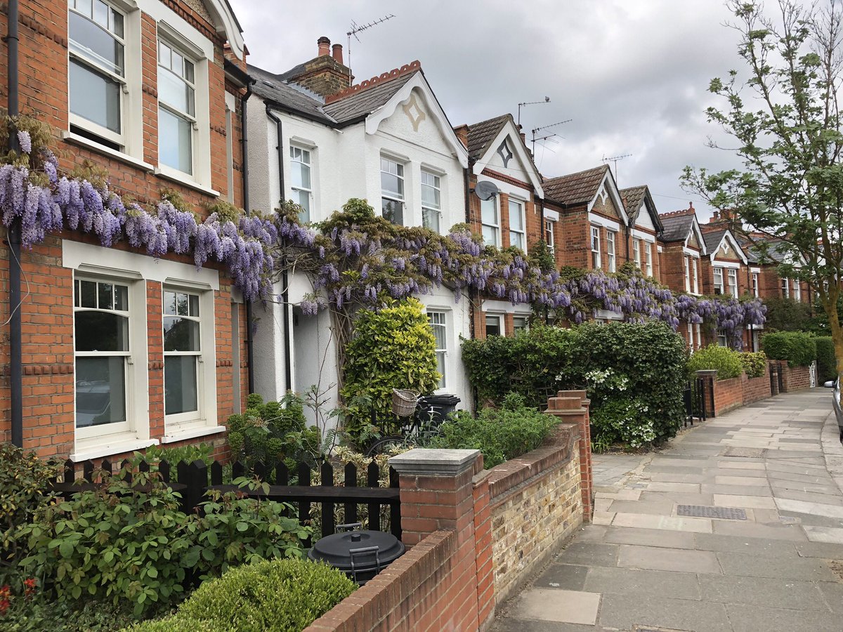 GreenhalghRoy's tweet photo. Cooperating with your neighbours can work. Here there is one wisteria plant between 2 houses, repeated again and again. Stunning. https://t.co/aggVjcjukB