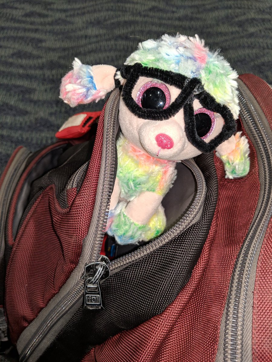chalmer_lowe's tweet image. Taking Avi's rainbow pup on a trip.
If you are bringing a travel buddy to #pycon, hit me up, we can photo op.
#rainbowpupatpycon
#programmerfun
#PyCon2019