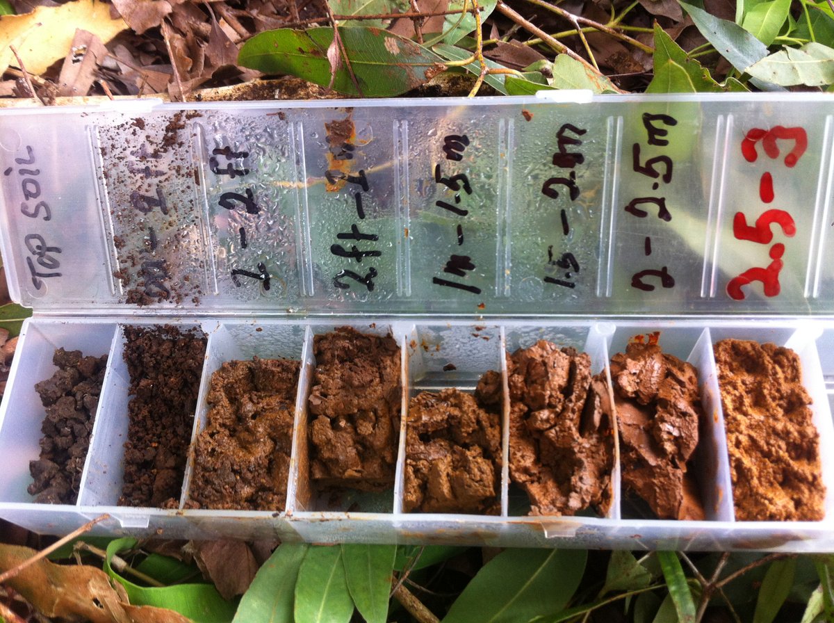 Tonga Geological Services tweet media