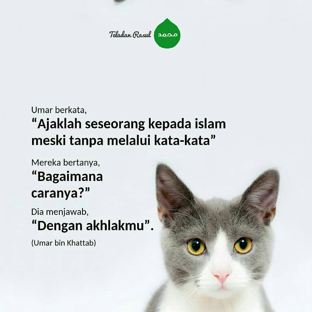 In syaa Allah :) . . . #TeladanRasul