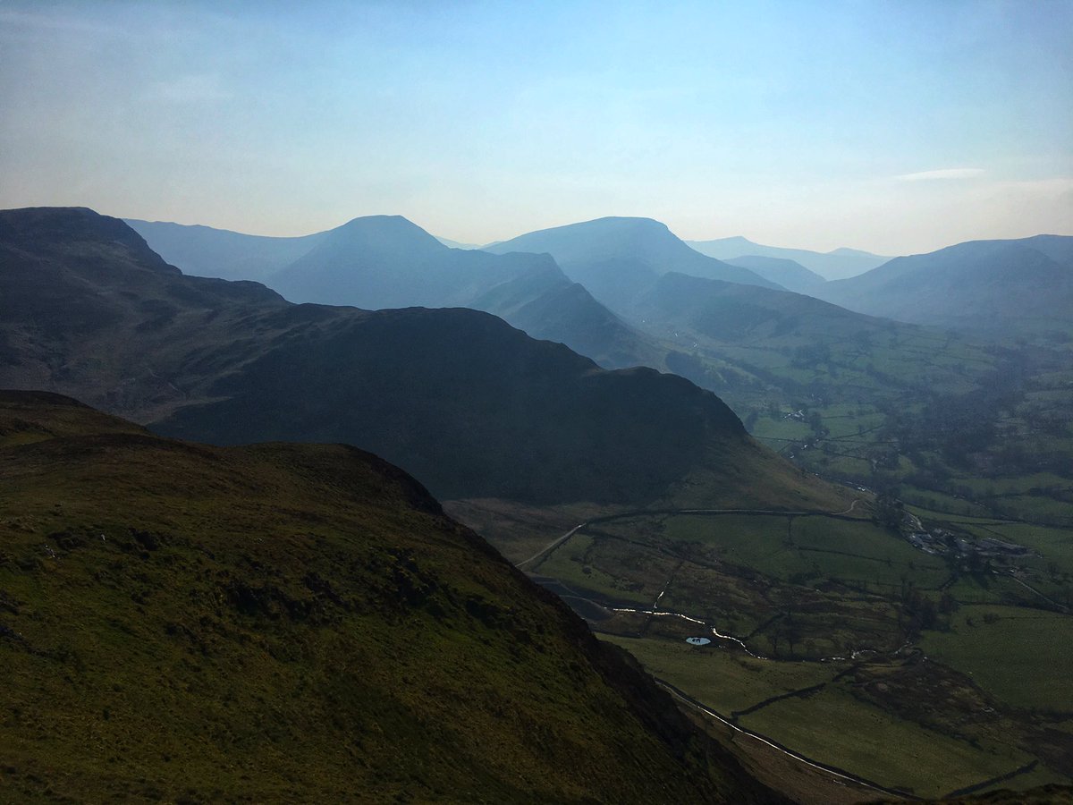 Catstycam.com tweet media