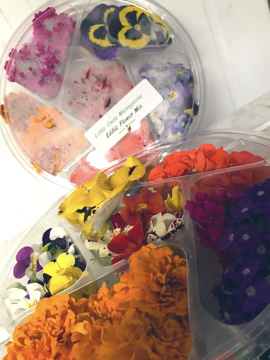 LimeKing3's tweet photo. Fresh flower wheels just arrived heading out for orders today  can’t get fresher then that! @jtattshotmailc1 @little_cress @LauraFude @DrummondHGarlic @Mhacha_Shiitake https://t.co/8VJkFsmJ9i