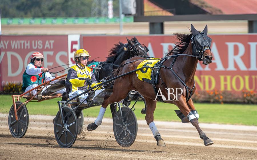 TrottersNSW's tweet photo. HRNSW 2YO TROTTERS FOUNDATION SERIES HEAT 4

Congratulations to Jodie Wright owner of PLAYBOY IN PARIS, winner of Heat 4 of the HRNSW Trotters Foundation Series at Tabcorp Park Menangle, Tuesday the 30th of April 2019. https://t.co/n1jLTtrupa