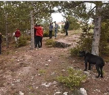 AyhanAltuntas71's tweet photo. Türkiye sapıklığın dibini yaşıyor!!

Çocuk hayvan kim denk gelirse farketmiyor! 

Kütahya da ağaca bağladıkları sahipli
Köpeğe tecavüz ederken yakalanan
2 şahıs, Karakola götürüldü.
"Şayet bunlara ağır ceza verilmezse bu tür haberleri okumaya devam ederiz.🤬🤬 https://t.co/AQP6aZCYIs