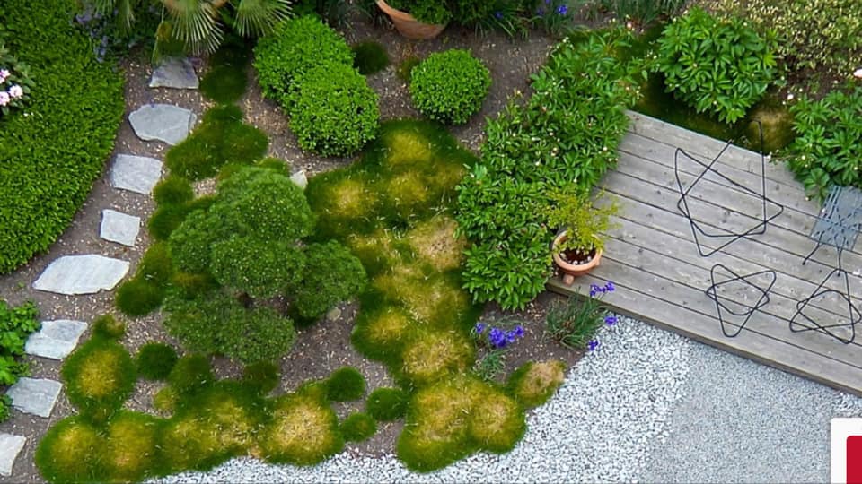 In diesem Monat finden Sie in unserem #Ratgeber Tipps rund um die Gestaltung von #Garten und #Terrasse ✓ 
 Jetzt lesen und Ideen sammlen!
massivhaus-rheinlahn.de/services/ratge…

Ihr #Massivhaus #Rhein #Lahn-Team