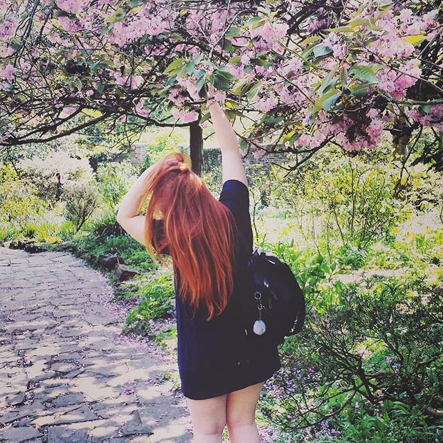 MyStreatham's tweet photo. 🌸 Another #shot of #therookery in #streatham thanks @mashamellowmeow for sharing. #mystreatham #streathamhill #streathamcommon #streathamvale #furzedown #streathamhighroad #southlondon #swlondon #london #londontown #londoner #igerslondon #thisislondo… https://t.co/HozZs3rvOZ https://t.co/q3kFDOHQFZ