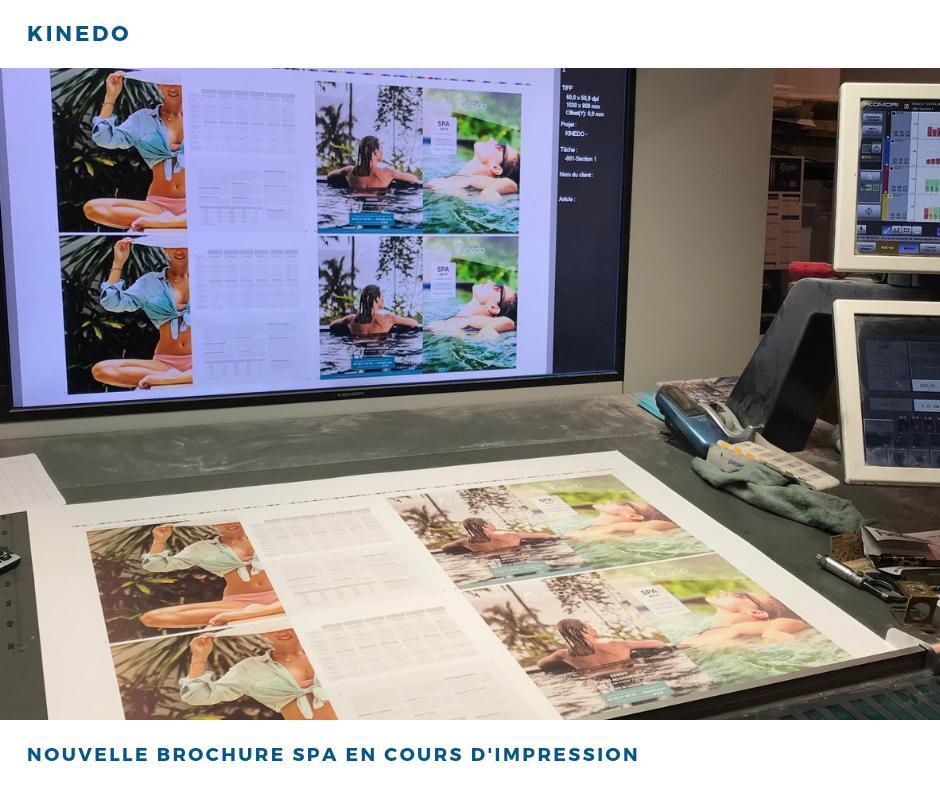 La nouvelle brochure spa est en cours d'impression ! Restez attentif, vous la retrouverez bientôt chez nos revendeurs ! 👀
Découvrez-là ici : bit.ly/2Gisnpr