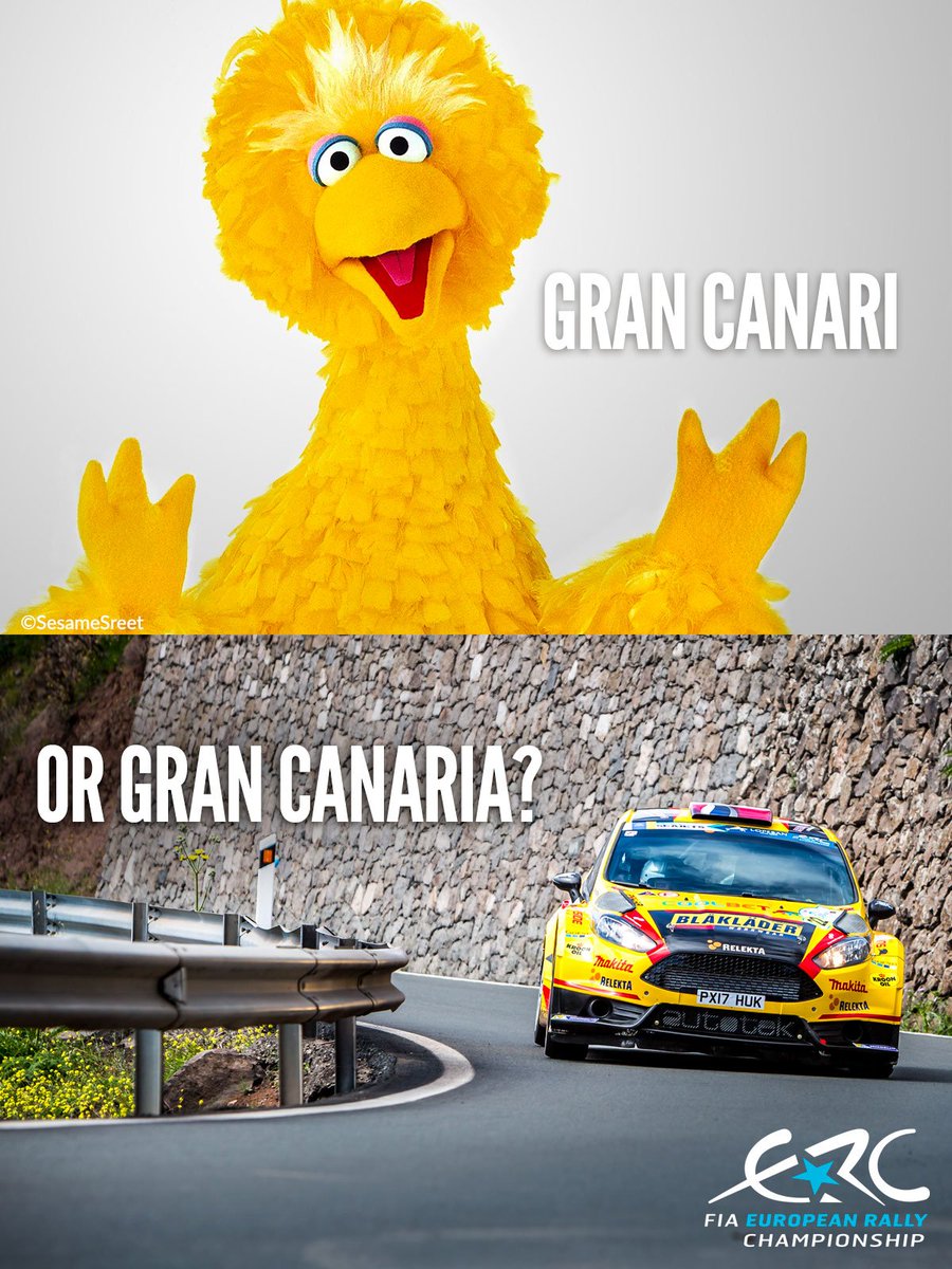 Hmmmm... sometimes a single letter makes quite a difference. Which one do you prefer? 🤔 #FIAERC #GotTalentProveIt #RallyIslasCanarias