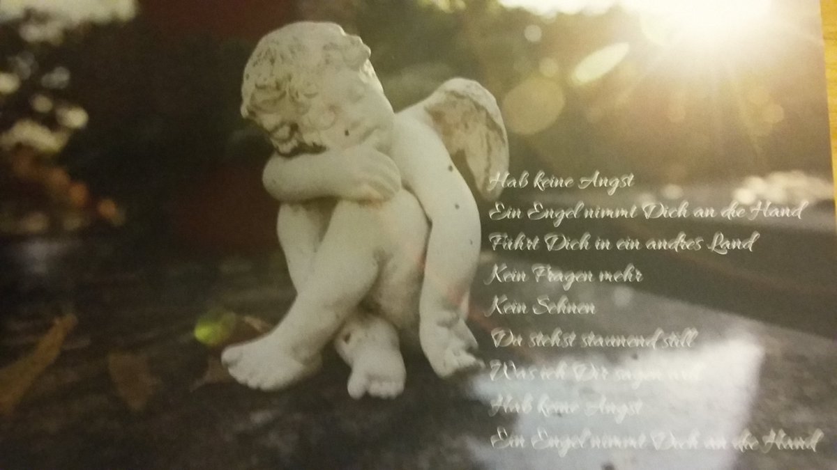 Engelpostkarten druckfrisch eingetroffen, Foto: Nici Merz, Text: Frauke Ahlers, lotte-verlag.de