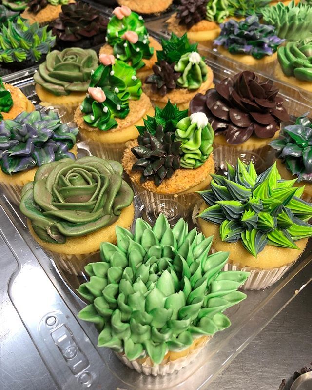 Succulent cupcakes 😍#bartonsbakeshop #pittsburghbakery #succulents #succulentcupcakes #bakeshop #customcupcakes