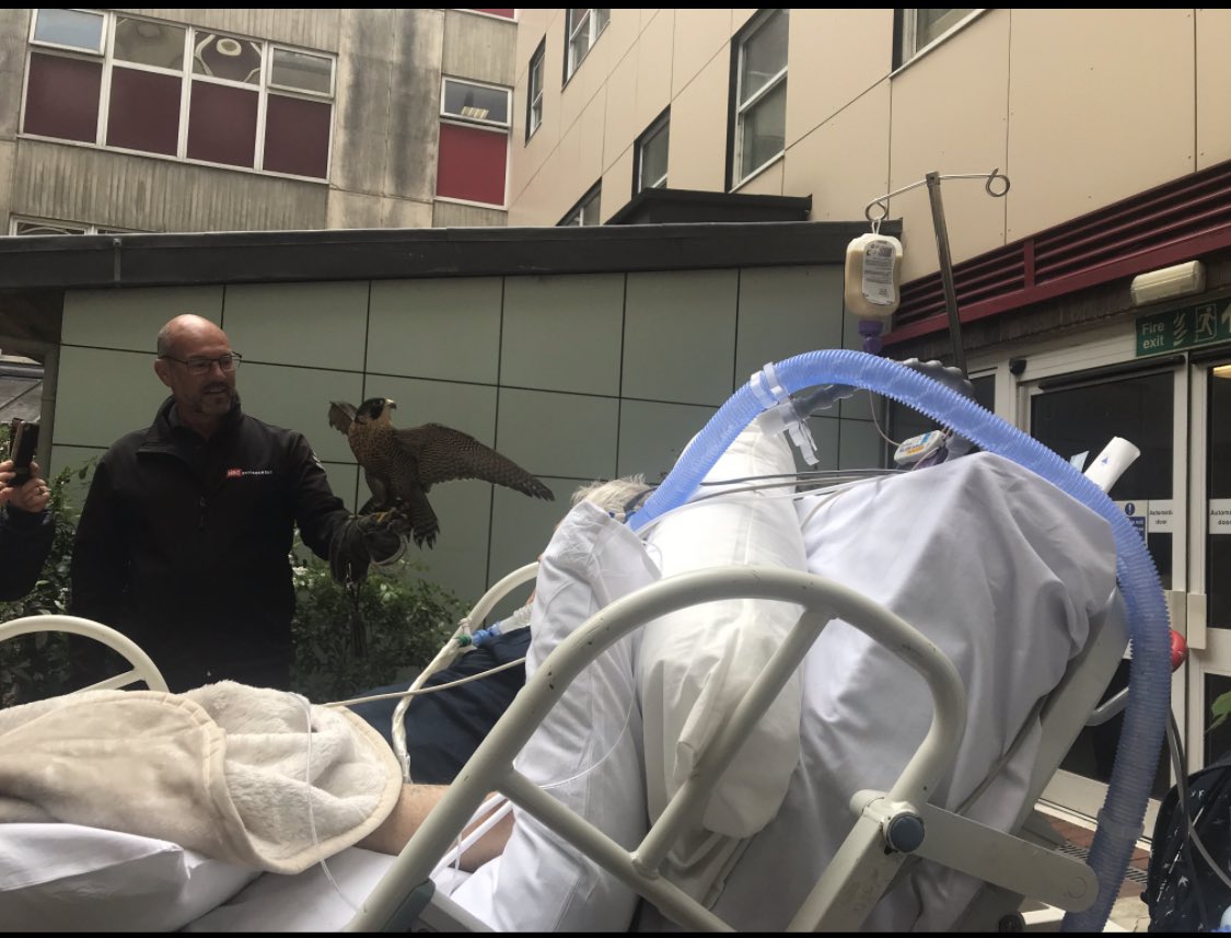 Zoe van Willigen (@zoewilligen) on Twitter photo Long term ventilated patient with an interest in birds of prey? Not a problem for us here <a href="/UHS_CritCare/">UHS Critical Care</a> This is real dedication to person-centred care- love it! #proud 😊 <a href="/MeganLewisPT/">Megan</a> <a href="/UHS_Therapy/">UHS Therapy Services</a> Long term ventilated patient with an interest in birds of prey? Not a problem for us here <a href="/UHS_CritCare/">UHS Critical Care</a> This is real dedication to person-centred care- love it! #proud 😊 <a href="/MeganLewisPT/">Megan</a> <a href="/UHS_Therapy/">UHS Therapy Services</a>