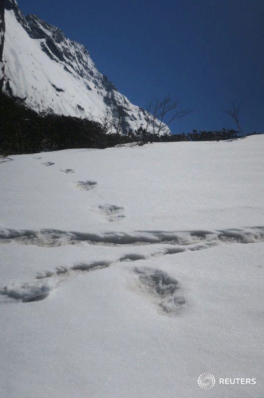 Reuters's tweet photo. Mountaineers from the Indian army on a expedition in Nepal have found mysterious large footprints in the snow that they think belong to the 'Yeti', the military said https://t.co/XnXsSgTLbf https://t.co/4knDRqG2Am