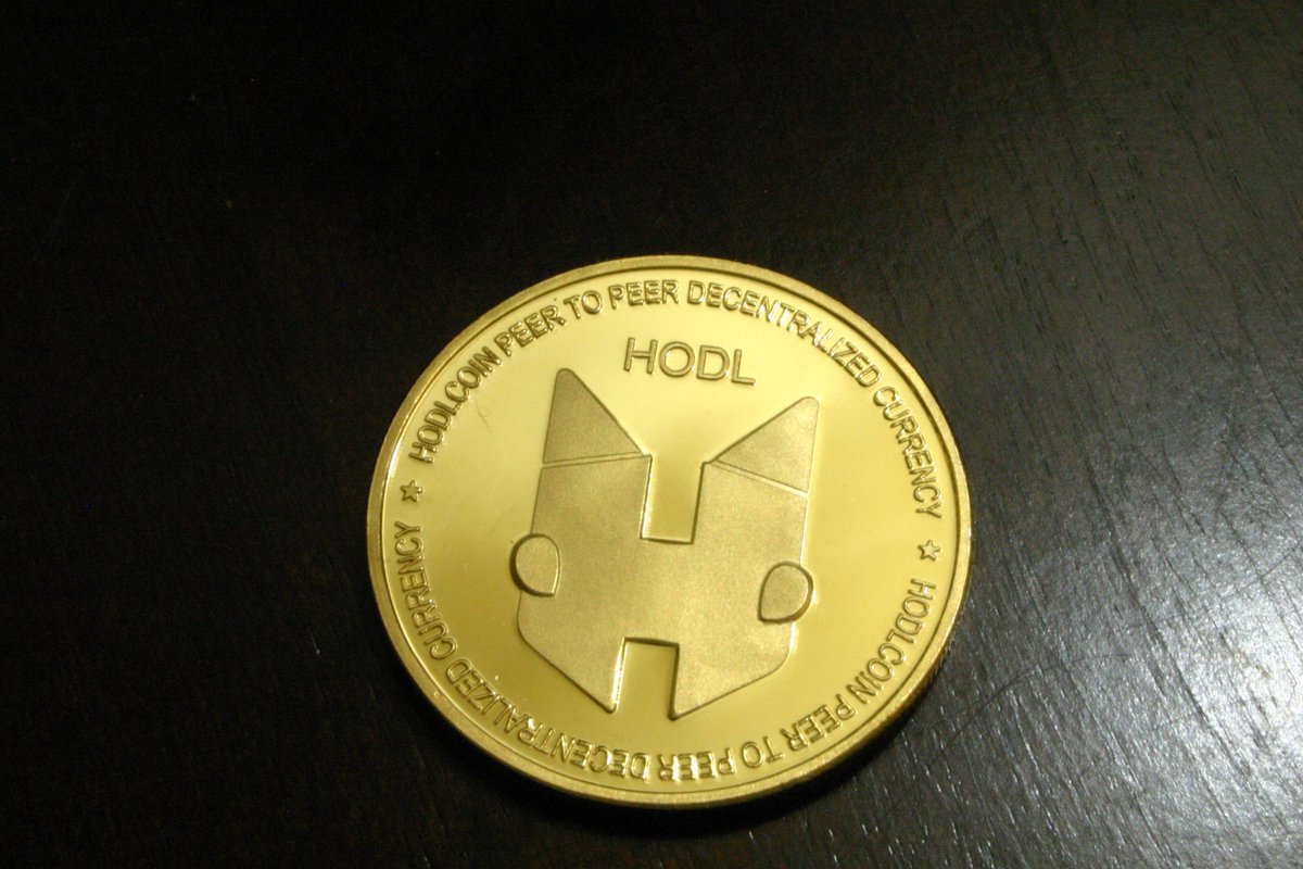 HOdlcoin tweet media