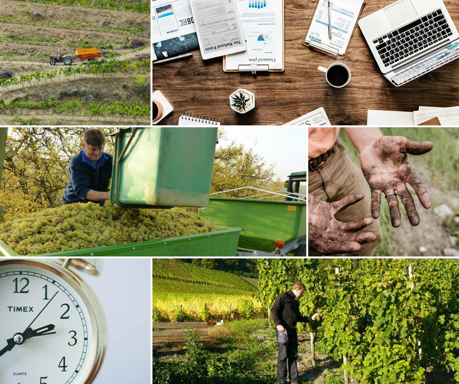 eOrchard_app's tweet image. Tips to improve #TimeManagement and #WorkOrganization in vineyard: ow.ly/xm7430od4ah