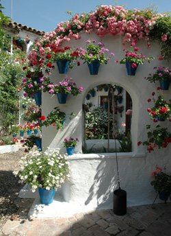 spain's tweet image. Don't forget that the #FestivaldelosPatios begins on Monday in #Cordoba. For just 1 week a year, the owners of the city's privately owned patios open to allow visitors to admire their spectacular displays of colourful flowers and plants. @viveandalucia @CordobaESP