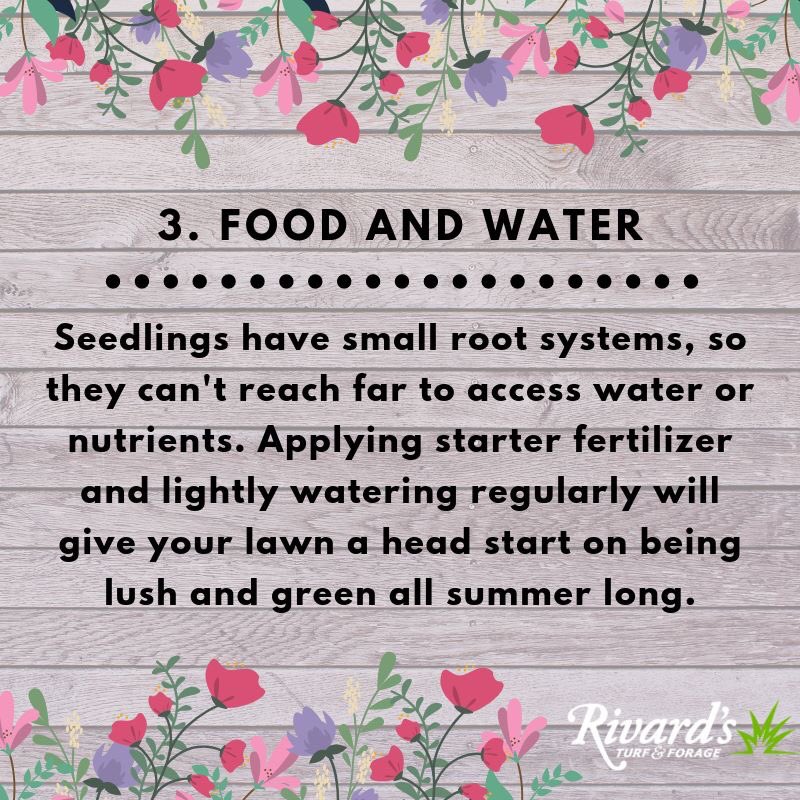 Ross Rivard (@RossRivard2) | Twitter