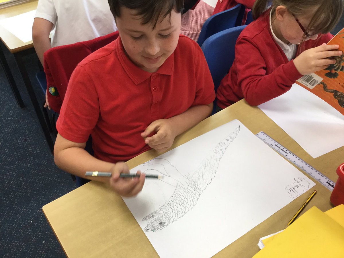 WMPrimaryY5's tweet image. We are using our imagination and art skills to create a new species by combining two animals.
#topictime
#AimHighSucceedBeHappy