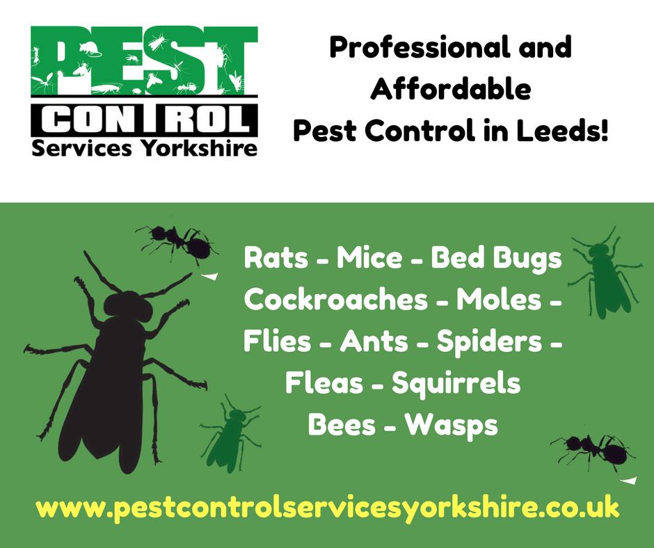 PestControlMike's tweet image. When you call #PestControl Services Yorkshire you will get:
🐁 Quick response
🐀 Free no obligation quote
🐁 Experienced, professional &amp;amp; friendly qualified technician 
🐀 Fully insured
🐁 Child and pet friendly methods/products
🐀 Discreet, unmarked vehicles
#Leeds #Ilkley