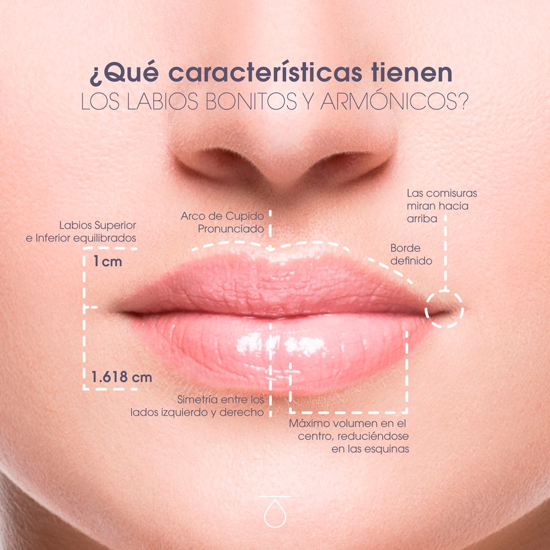 PiedadBleda's tweet photo. ¿Quieres unos labios de estrella de Hollywood? 💋💋 

Con nuestro relleno de labios con ácido hialurónico hacemos tu sueño realidad 😉 

¡Aprovecha nuestra promoción! 😃

#ElEsparragal #Murcia #LabiosPerfectos #Belleza https://t.co/po57DSKADw