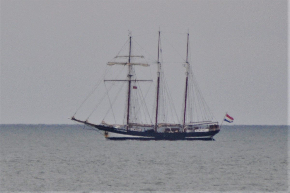 EyeDealKent's tweet image. Sailing By - Oosterschelde, one of the oldest &amp;amp; most authentic vessels of the international fleet, was built in 1917 as a sailing cargo vessel and was fully restored in the early 90s. She sails the world's seas, from Antarctica to the north pole and Australia / Africa. @DealFolk